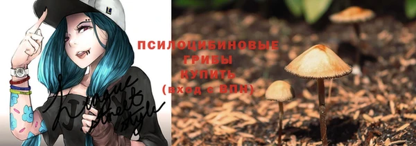 хмурый Алзамай