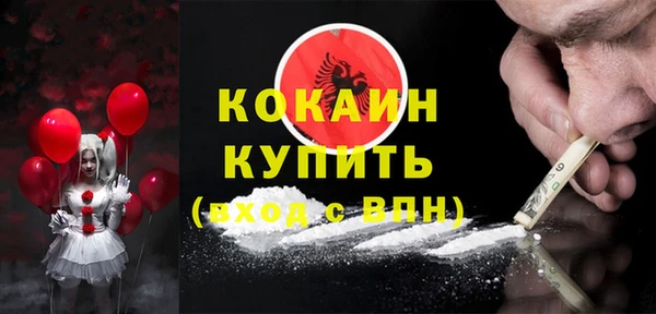 хмурый Алзамай