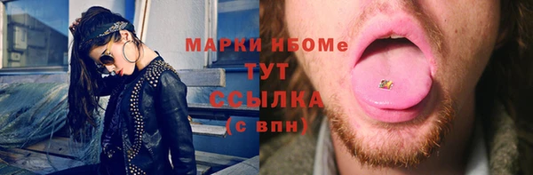 хмурый Алзамай