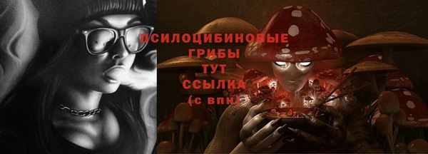 хмурый Алзамай
