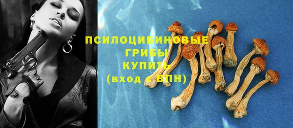 ешки Алексин